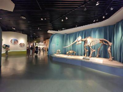 Chongqing Natural History Museum