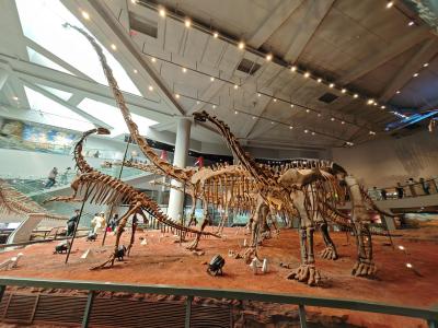 Chongqing Natural History Museum