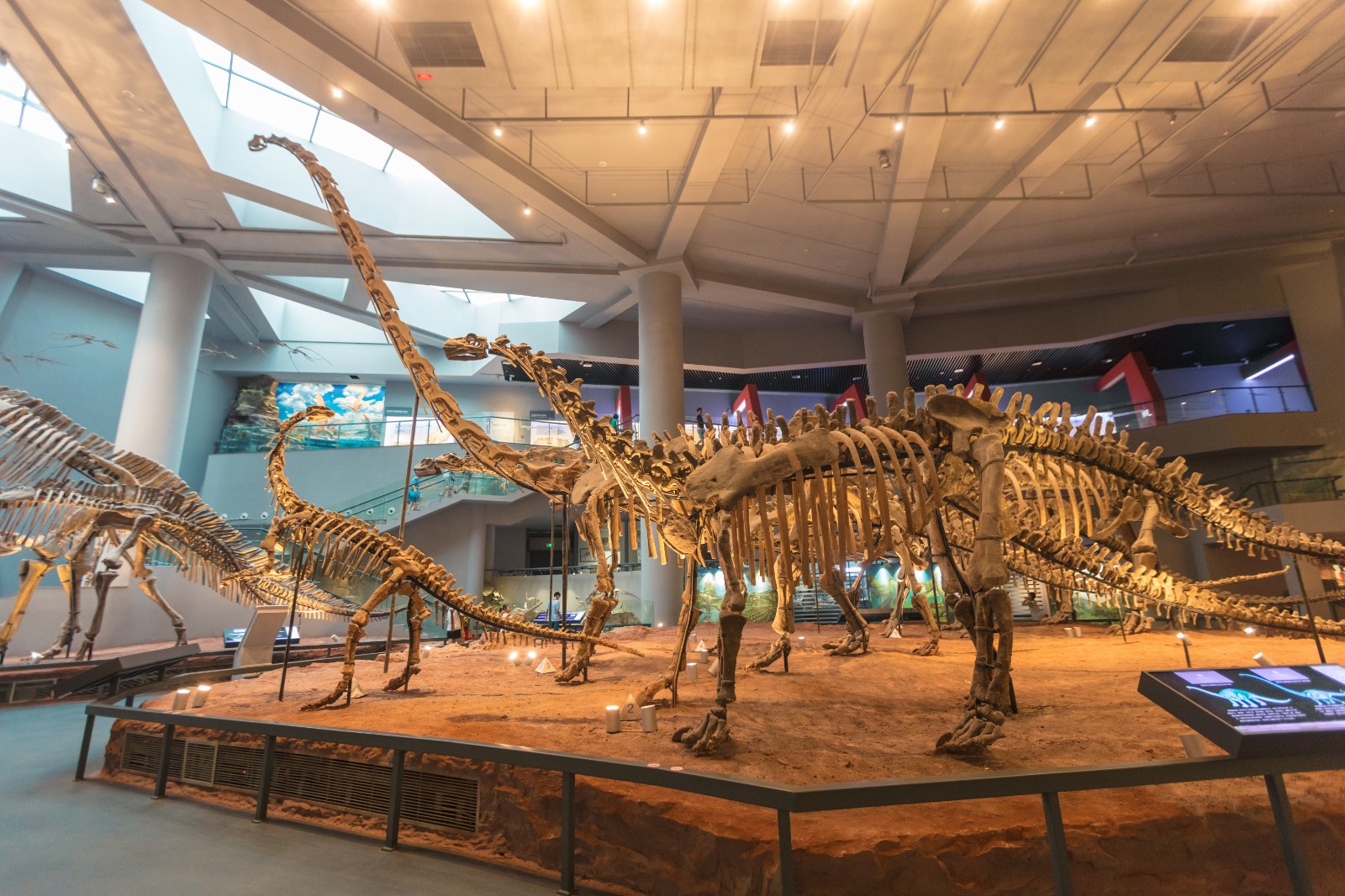 Chongqing Natural History Museum
