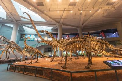 Chongqing Natural History Museum