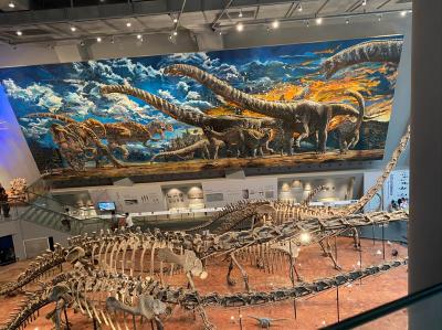 Chongqing Natural History Museum