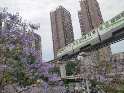 Chongqing Rail Transit Line 2