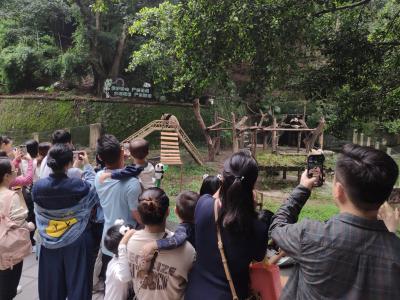 Chongqing Zoo