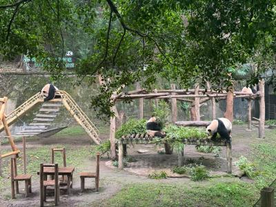 Chongqing Zoo