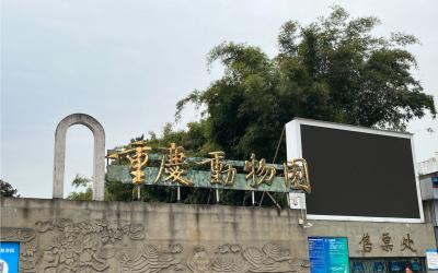 Chongqing Zoo