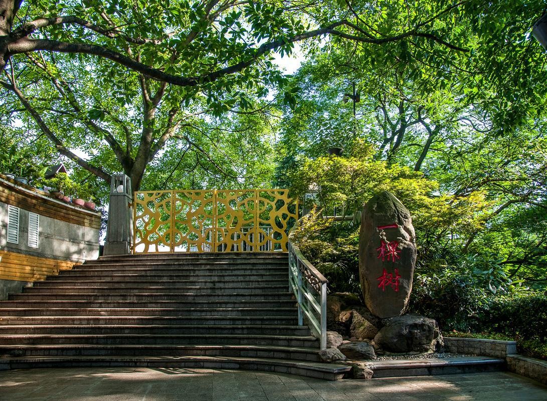 One Tree Observation Deck