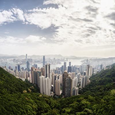 One Tree Observation Deck