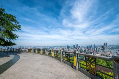 One Tree Observation Deck