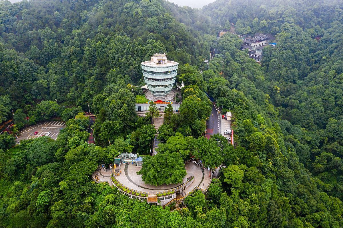 One Tree Observation Deck
