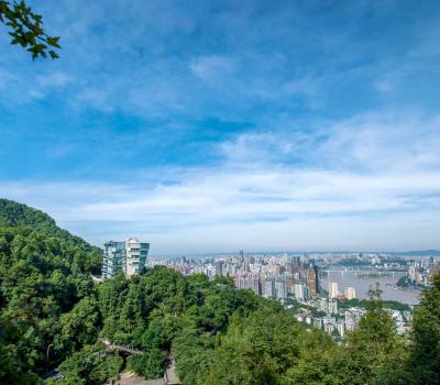 One Tree Observation Deck