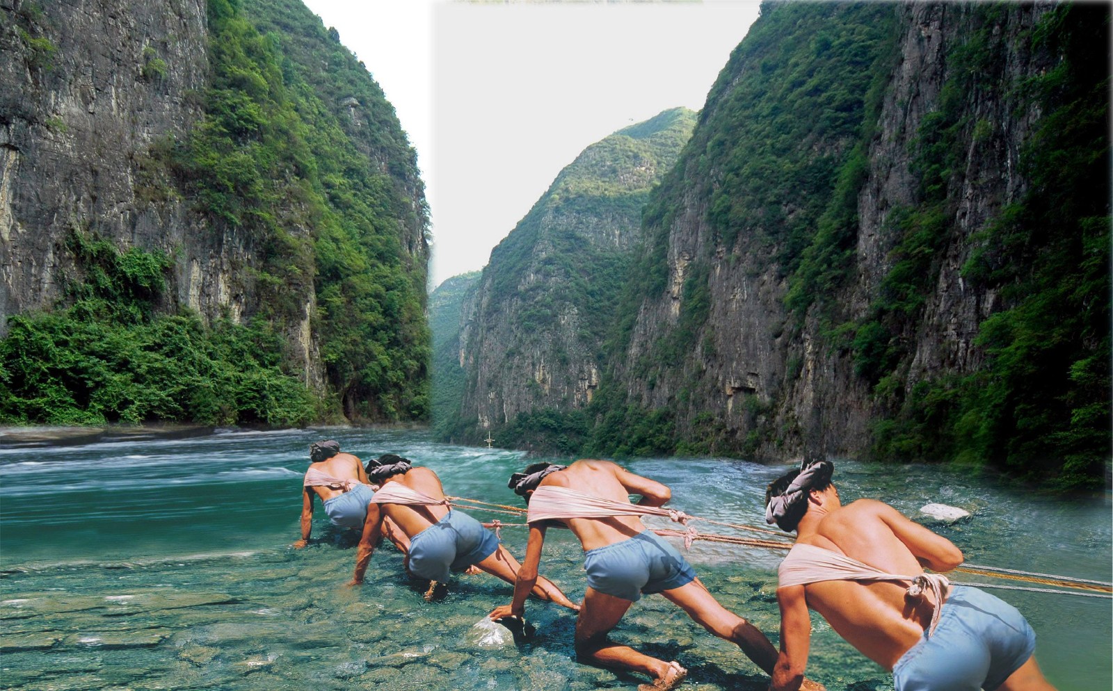 Shennong Stream