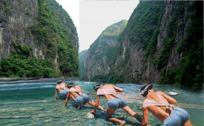 Shennong Stream