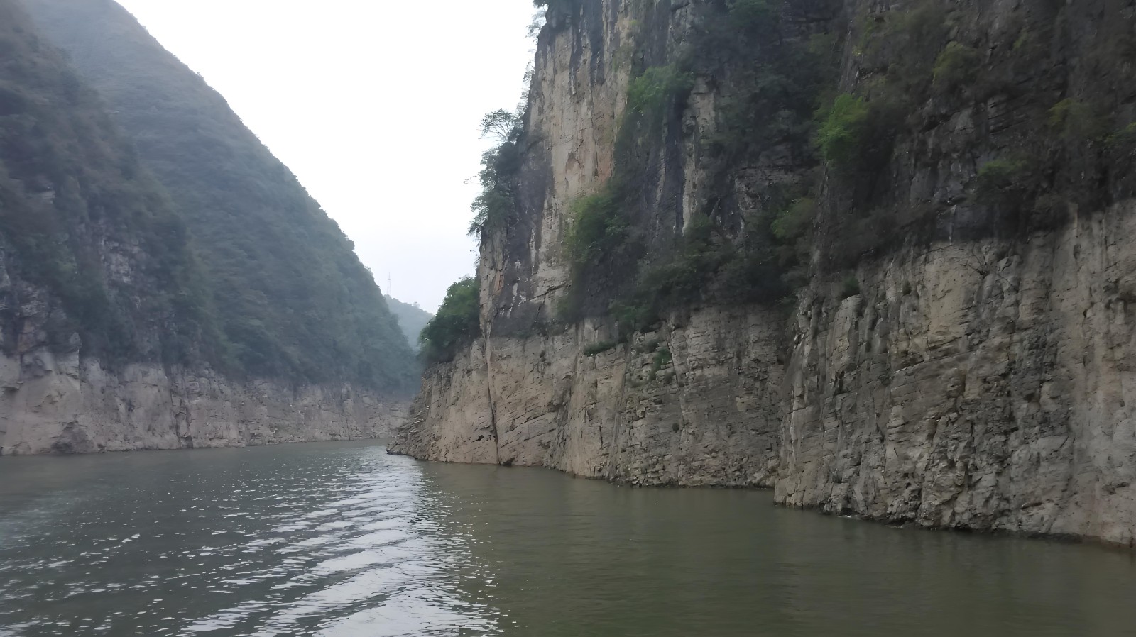 Shennong Stream