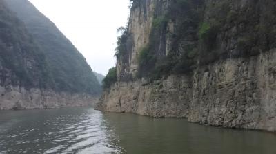 Shennong Stream