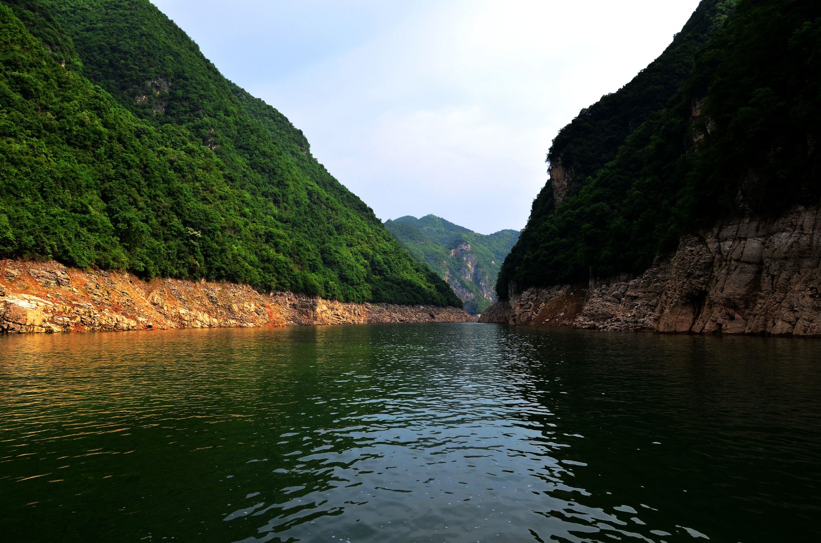 Shennong Stream