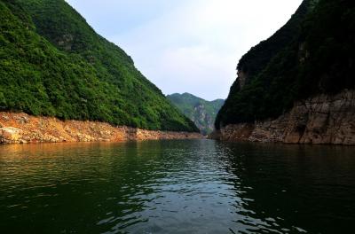 Shennong Stream