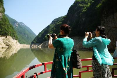 Shennong Stream
