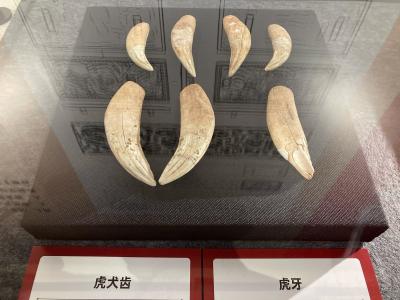 Three Gorges Museum