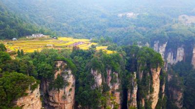 Zhangjiajie National Forest Park