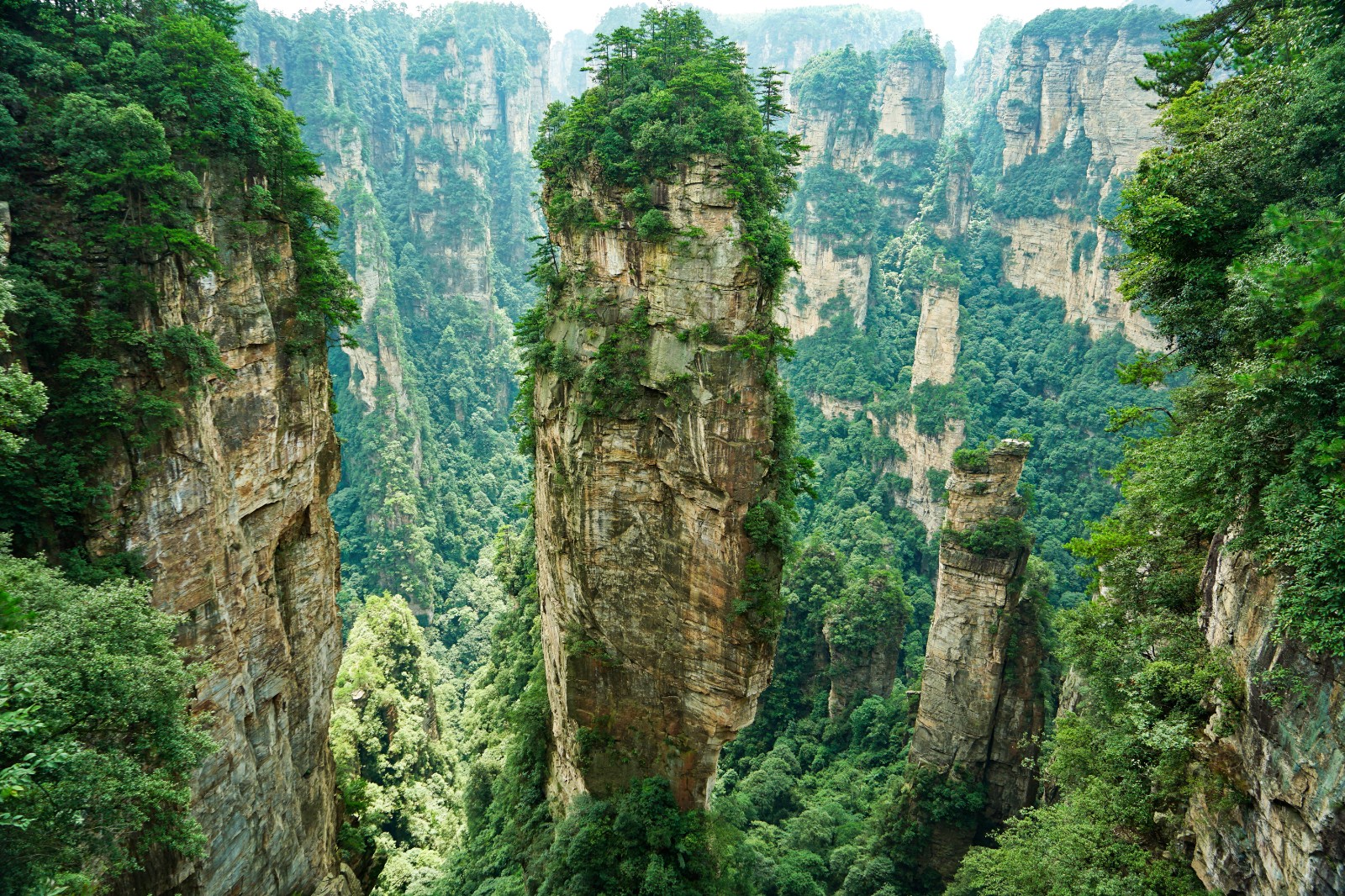 Avatar Hallelujah Mountain