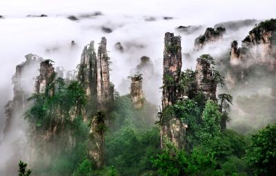 Tianzi Mountain