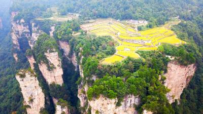 Field in the Sky (Kong Zhong Tian Yuan)